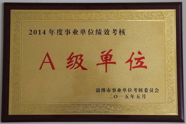 2015學(xué)校集體榮譽(yù)