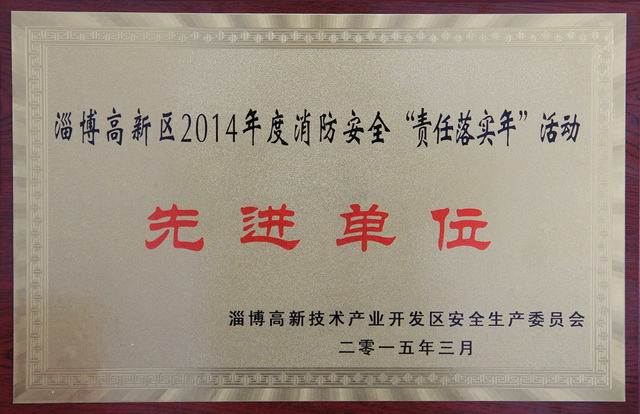 2015學(xué)校集體榮譽(yù)