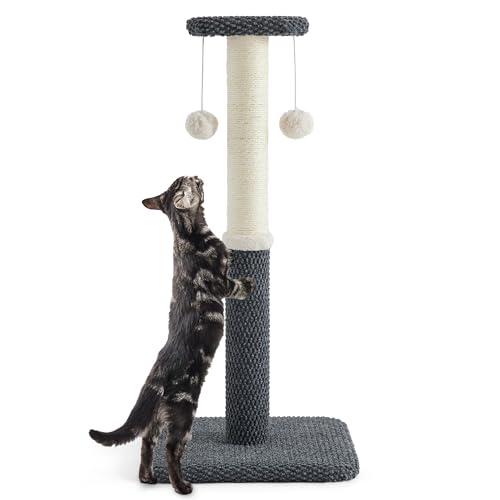 Lesure Kratzstamm mittelgroß für Katzen – 74 cm Kratzsäule für Katzen mit Plattform aus strapazierfähiger Teppichstoff, Kratzbaum mittel Katzen stabil mit Sisal und hängendem Ball, dunkelgrau